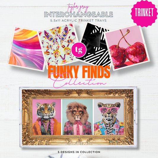 5.5 x 11 FUNKY FINDS Insert Set of 5
