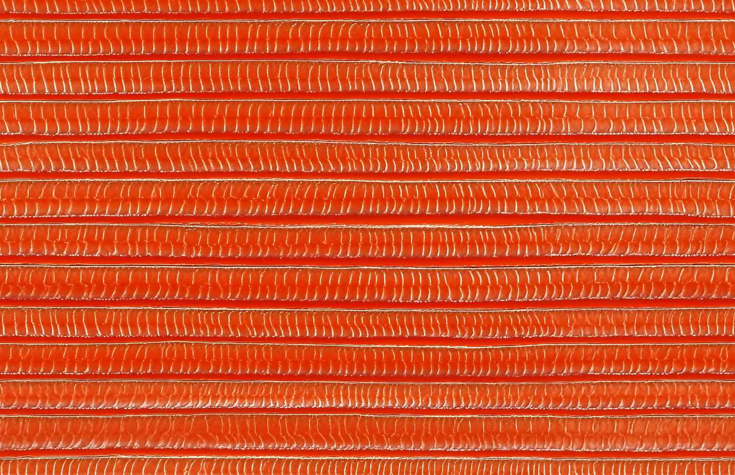 11 x 17 WILD WAYS Insert Set of 10