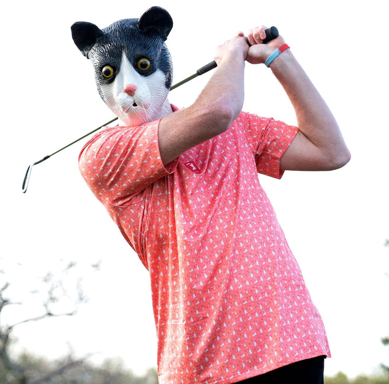 Kitty Magnet Polo
