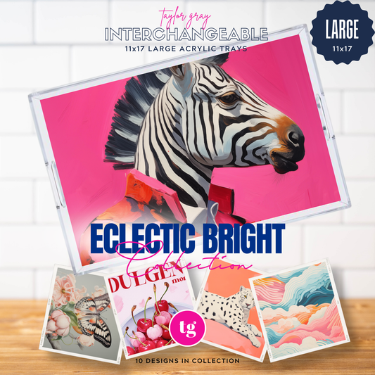 11 x 17 ECLECTIC BRIGHT Insert Set of 10