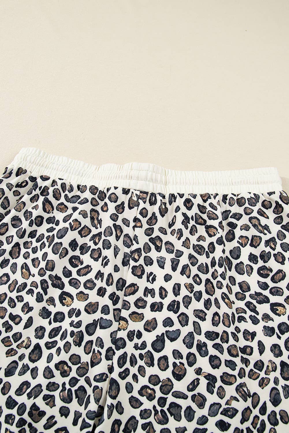 Plus Size Leopard Pullover and Shorts 2pcs Outfit