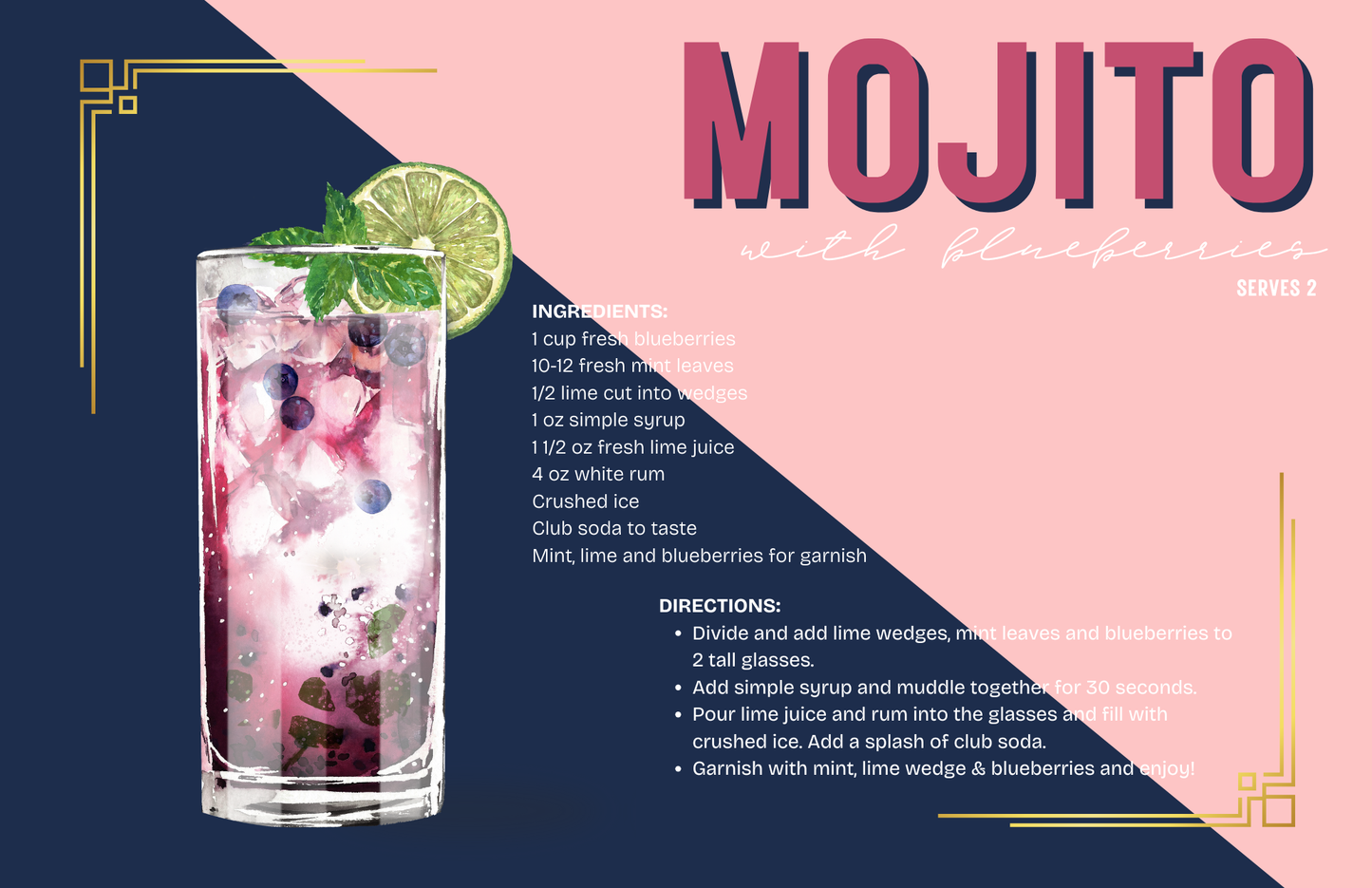 11 x 17 COCKTAILS VOL 2 Insert Set of 10