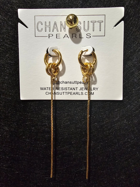 Hoop Dangle Earrings